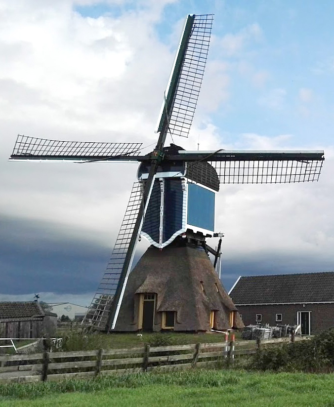 Foto van Groote Molen, Zoeterwoude, Leo Middelkoop (31-8-2018)De molen direct na de vervanging van het kleedhout van het bovenhuis.  | Database Nederlandse molens