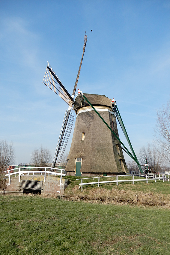 Barremolen, Zoeterwoude, Dennis van Dijk (16-2-2019) | Database Nederlandse molens
