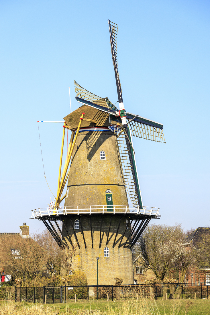 Foto van Den Arend, Bergambacht, Frank Hendriks (11-3-2022) | Database Nederlandse molens