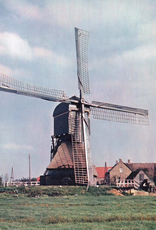 Hofwegensemolen, , De molen nog met scheprad en Oud-Hollands tuig.  Foto jaren vijftig, ingezonden door Arie Hoek. | Database Nederlandse molens