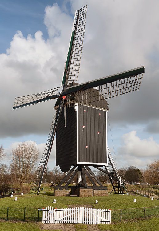 Foto van 't Vliegend Hert, Brielle, Bram van Broekhoven (1-3-2010). | Database Nederlandse molens