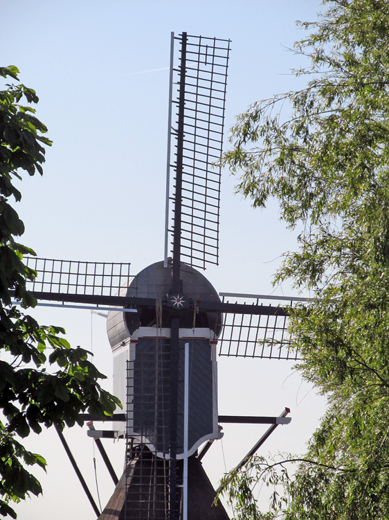Geremolen / Blauwe Wip, Hazerswoude-Dorp, Piet Glasbergen (4-6-2013). Let op de voorzoom, die geheel op scheerhouten en niet op de hekkens is bevestigd.  | Database Nederlandse molens